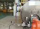 20t/H Fire Tube Pharmaceutical Gas Fired Steam Boiler